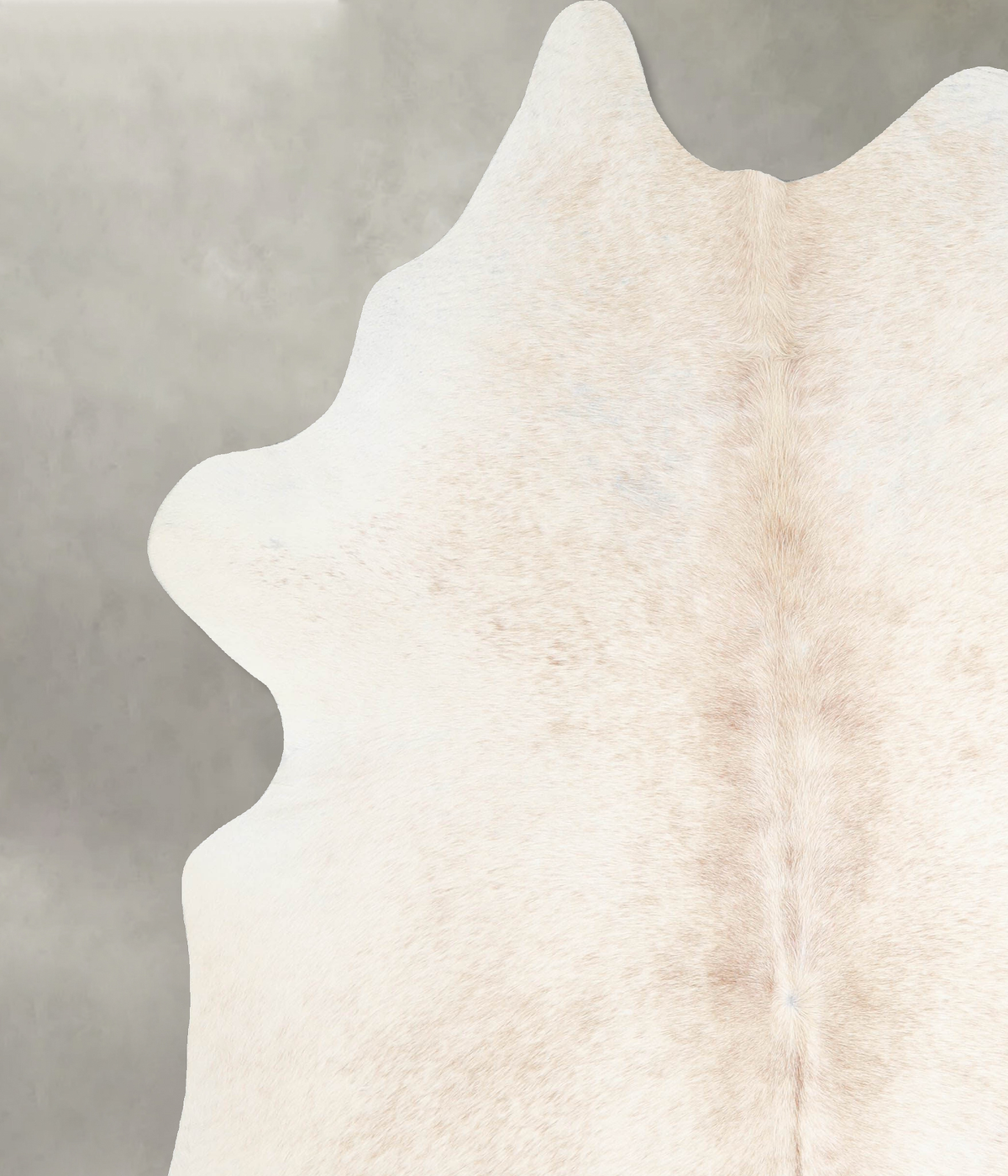 Ivory with Beige X-Large Brazilian Cowhide Rug 7'9"H x 6'5"W #A54293 by Hudson Hides