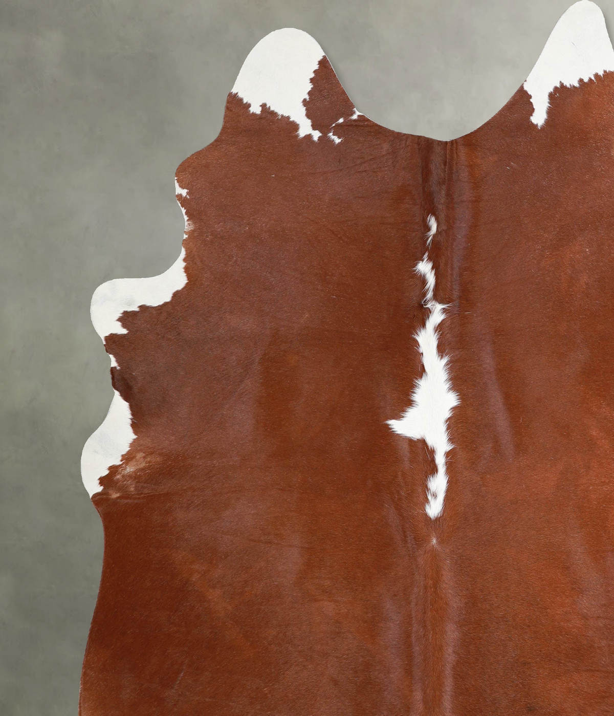Brown and White Regular XX-Large Brazilian Cowhide Rug 7'10"H x 6'7"W #A54294 by Hudson Hides