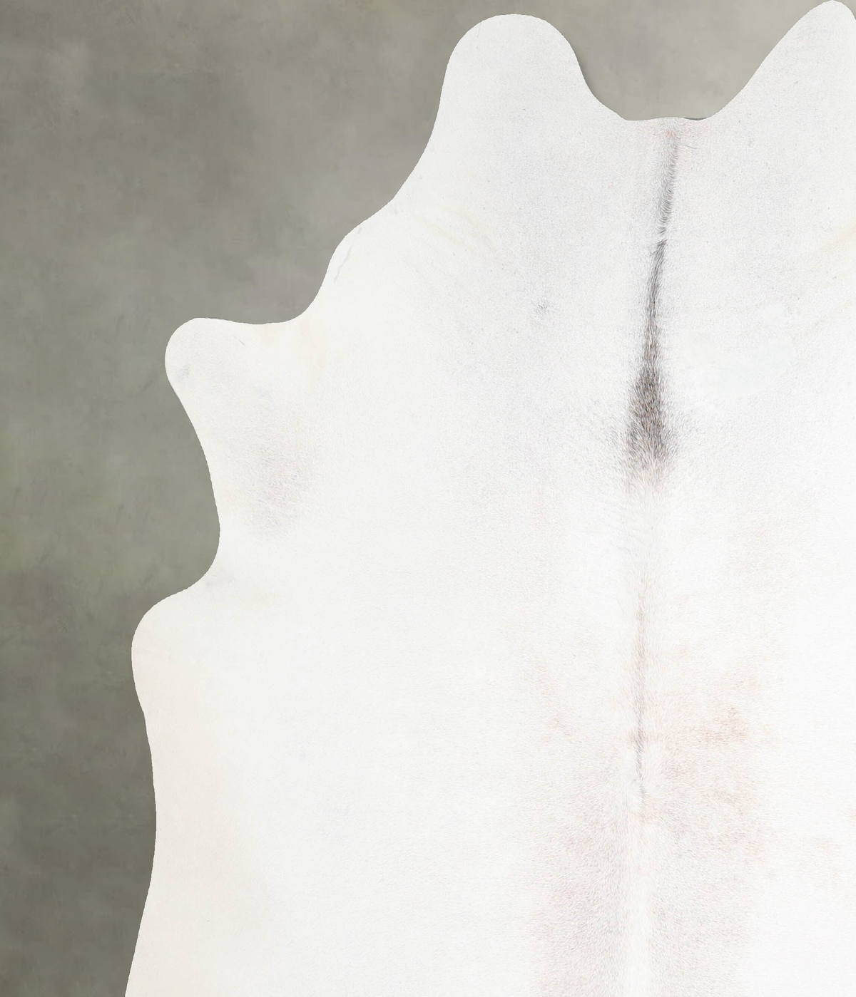 Light Grey XX-Large Brazilian Cowhide Rug 7'11"H x 7'1"W #A54295 by Hudson Hides
