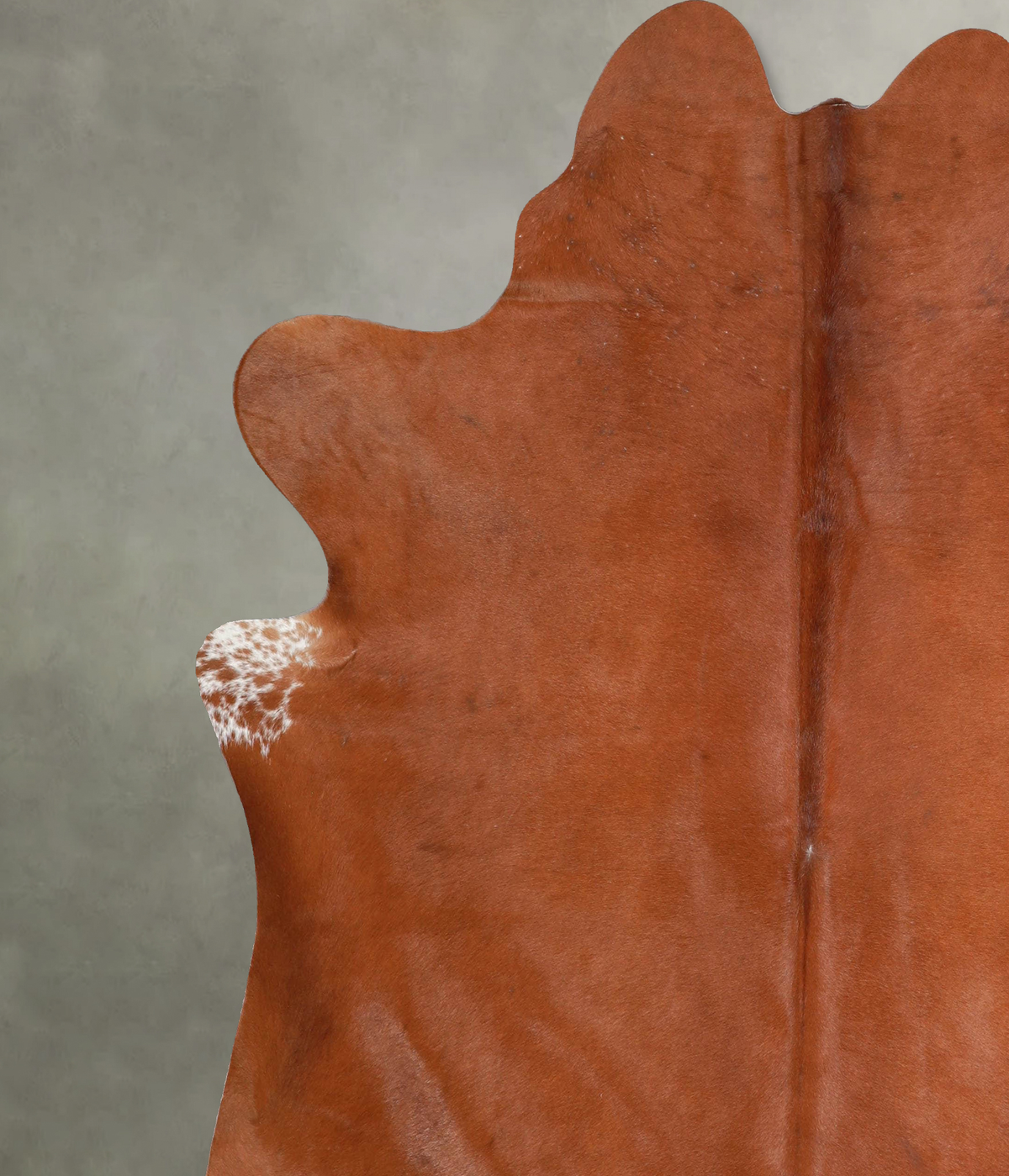 Solid Brown X-Large Brazilian Cowhide Rug 7'3"H x 6'9"W #A54304 by Hudson Hides