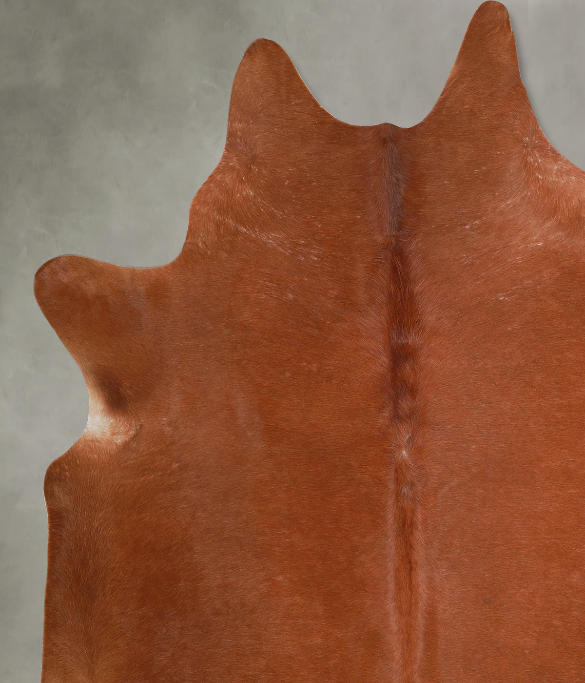 Solid Brown XX-Large Brazilian Cowhide Rug 8'8"H x 7'8"W #A54306 by Hudson Hides