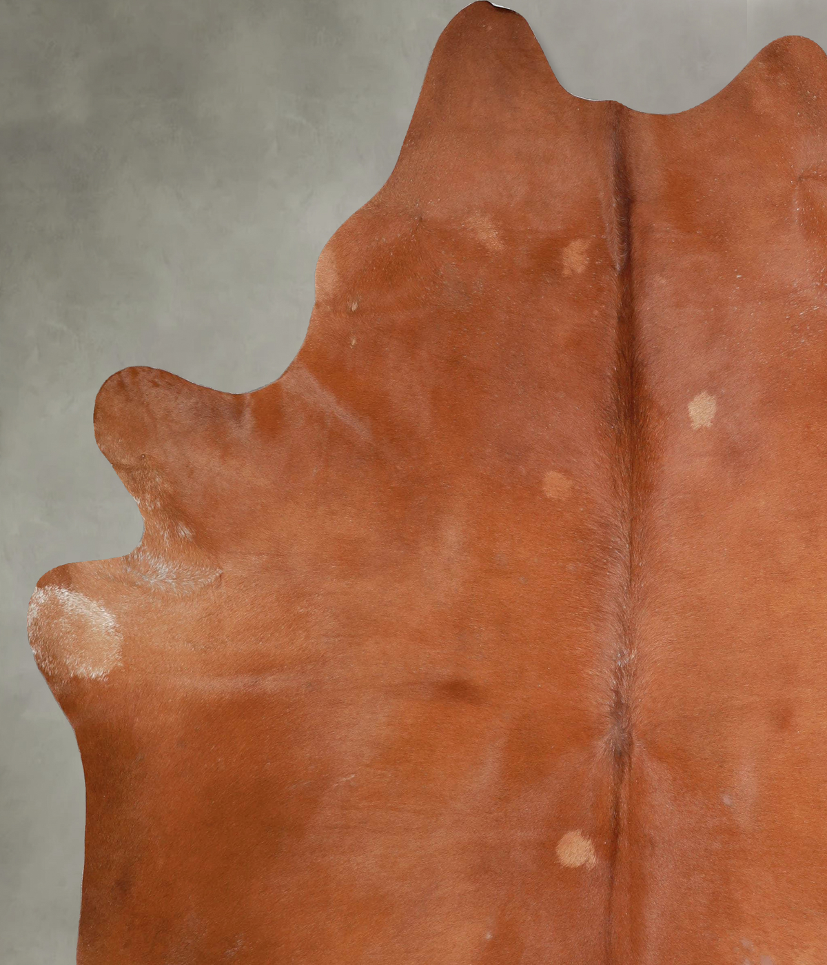 Solid Brown X-Large Brazilian Cowhide Rug 7'10"H x 6'4"W #A54309 by Hudson Hides