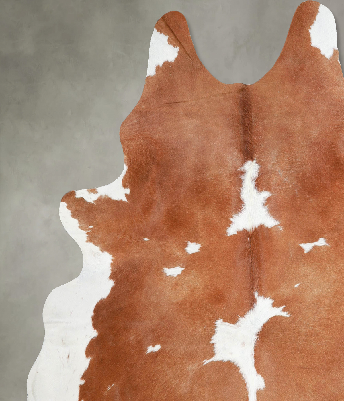 Brown and White XX-Large Brazilian Cowhide Rug 7'7"H x 6'7"W #A54318 by Hudson Hides