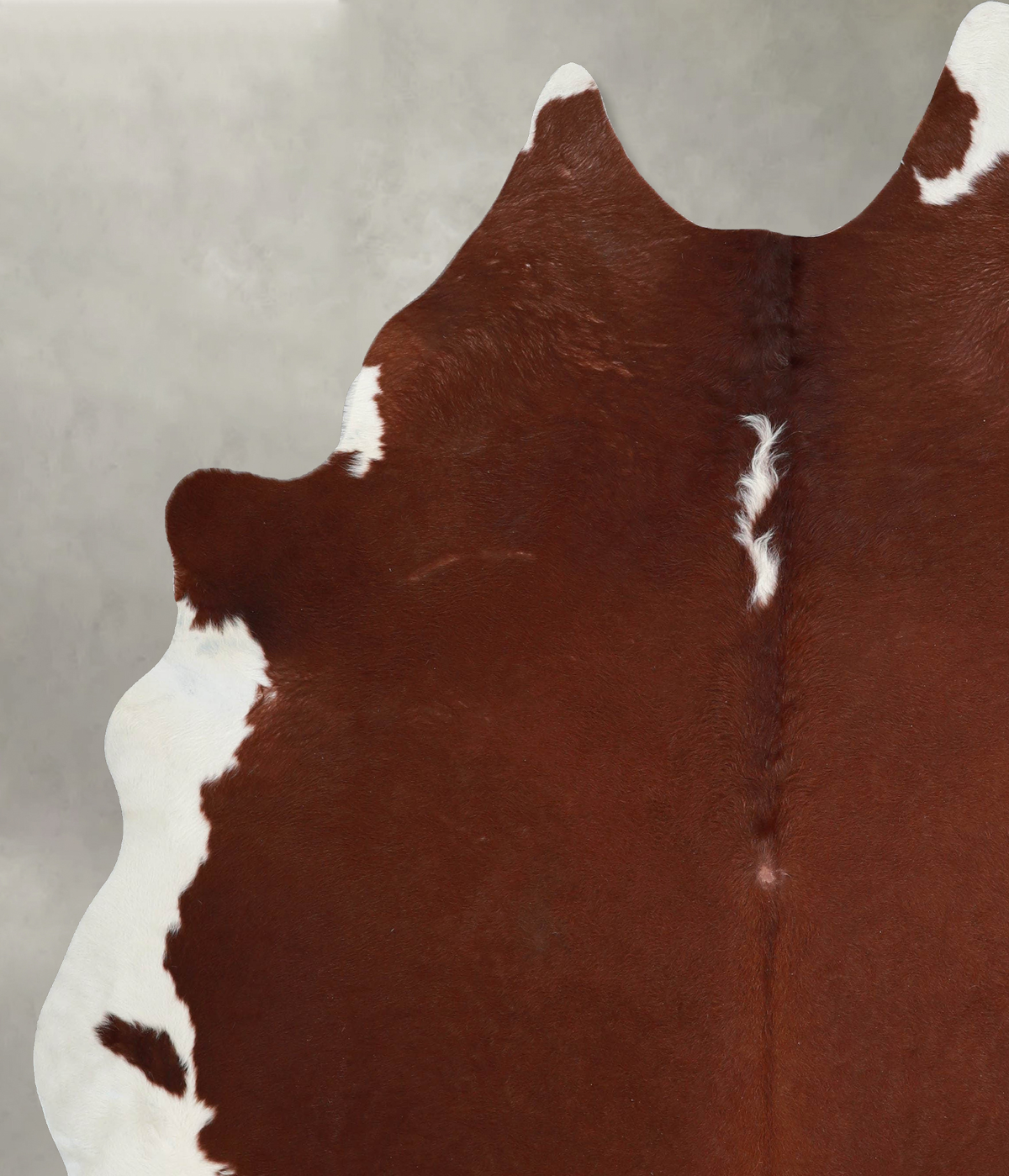 Brown and White Regular XX-Large Brazilian Cowhide Rug 8'3"H x 7'2"W #A54319 by Hudson Hides
