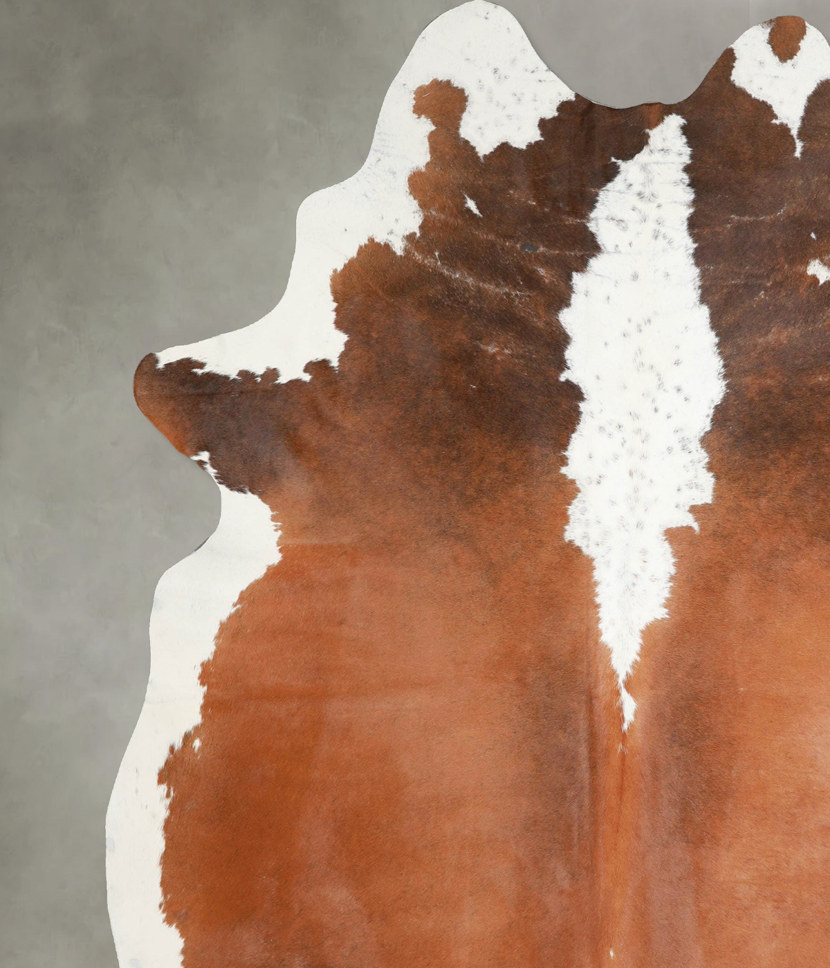 Brown and White Regular XX-Large Brazilian Cowhide Rug 8'4"H x 6'10"W #A54322 by Hudson Hides