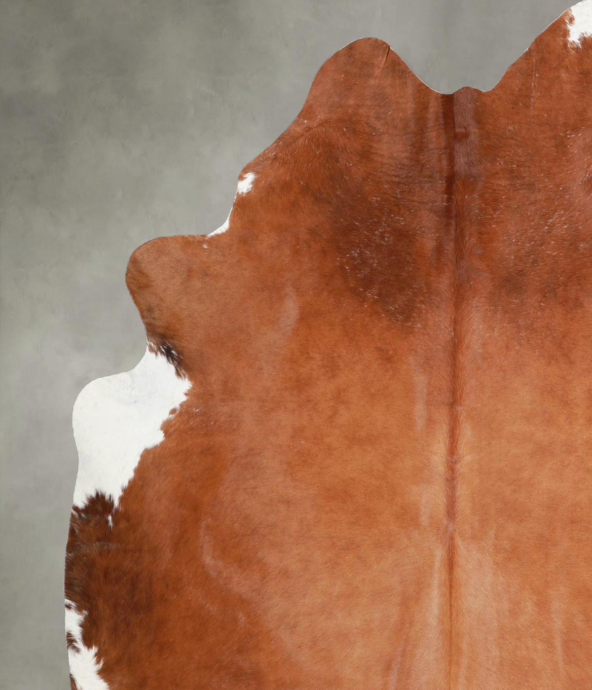 Solid Brown X-Large Brazilian Cowhide Rug 7'1"H x 6'6"W #A54323 by Hudson Hides