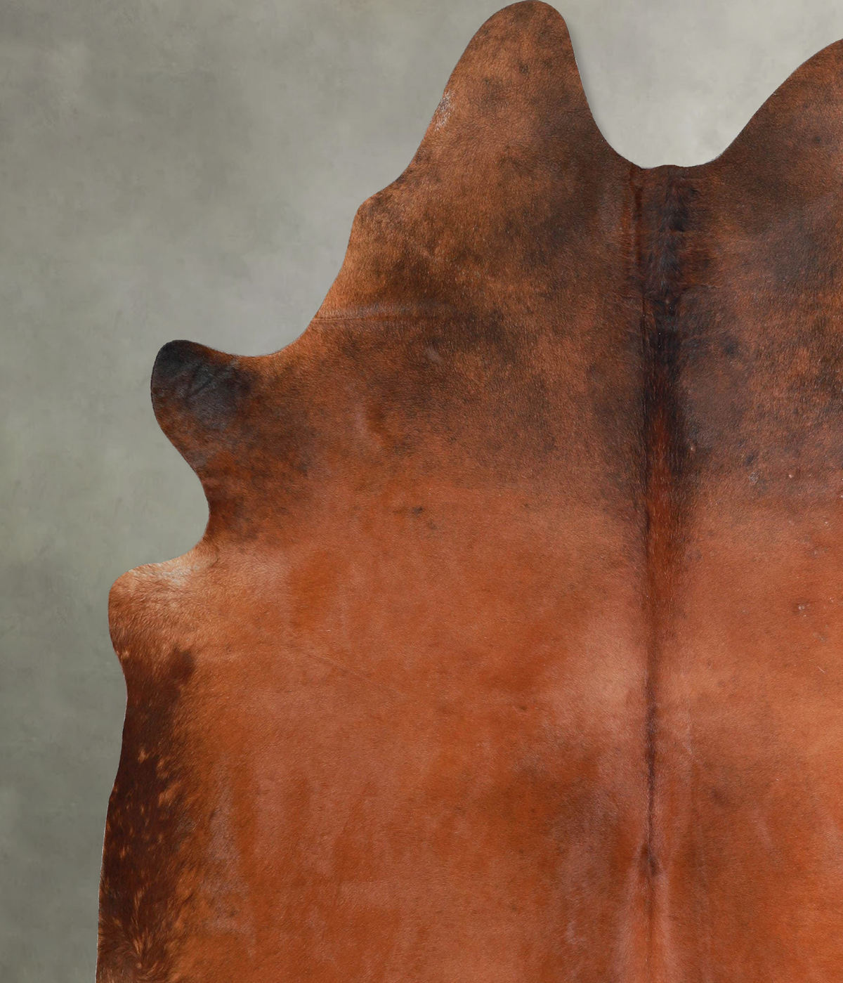 Warm Caramel X-Large Brazilian Cowhide Rug 7'5"H x 6'4"W #A54325 by Hudson Hides