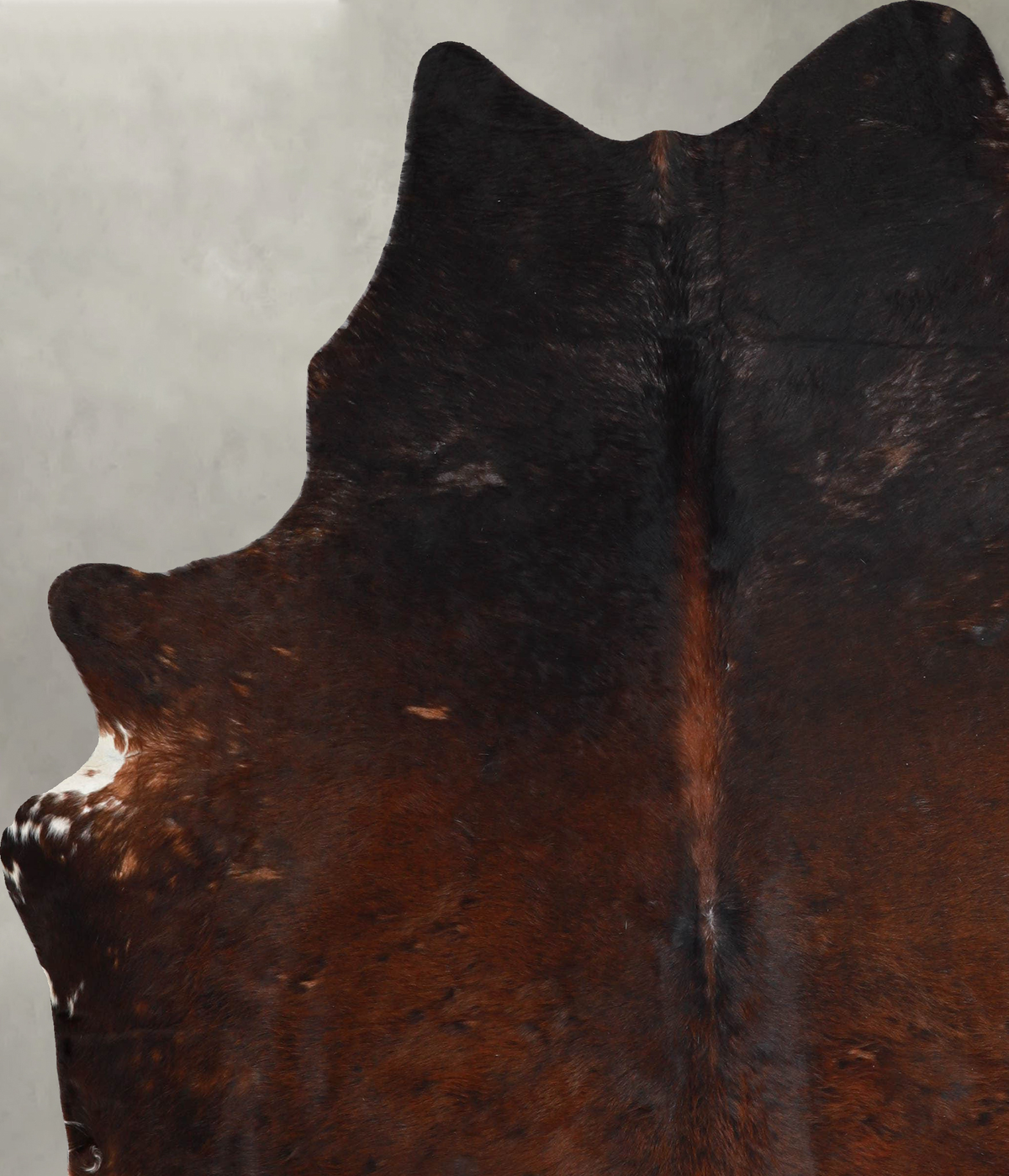 Chocolate and White X-Large Brazilian Cowhide Rug 7'7"H x 6'4"W #A54329 by Hudson Hides