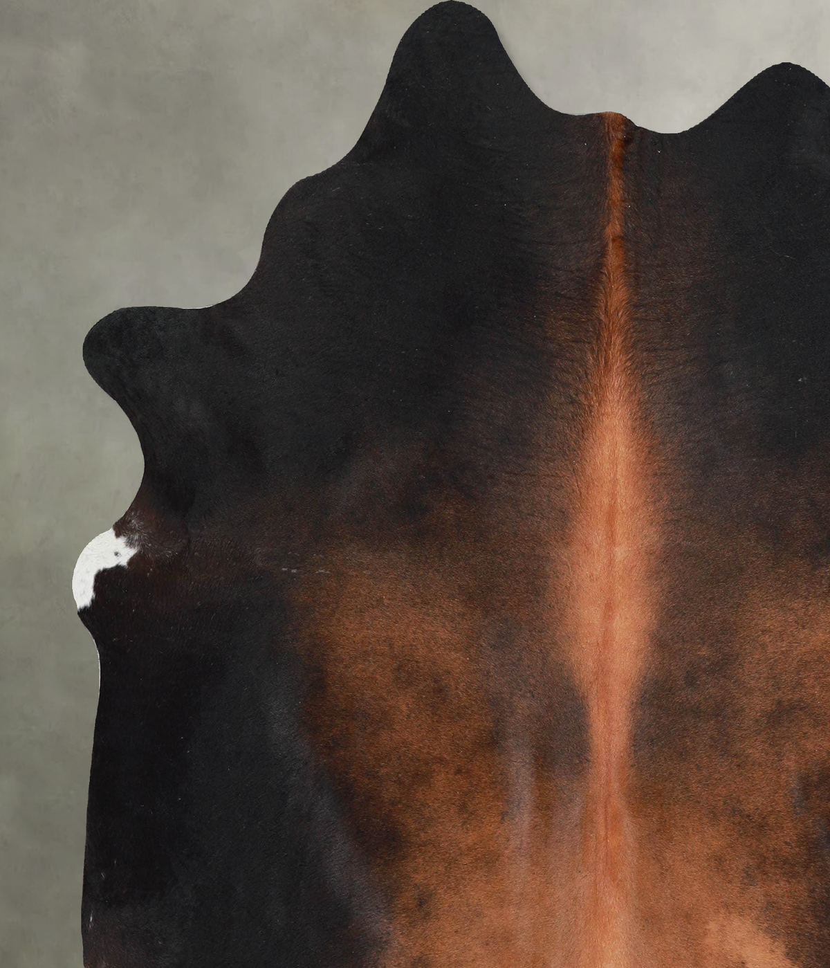 Warm Caramel X-Large Brazilian Cowhide Rug 6'11"H x 6'3"W #A54330 by Hudson Hides