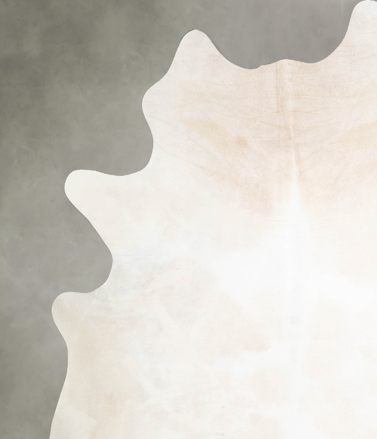 Ivory with Beige XX-Large Brazilian Cowhide Rug 8'2"H x 6'7"W #A54342 by Hudson Hides