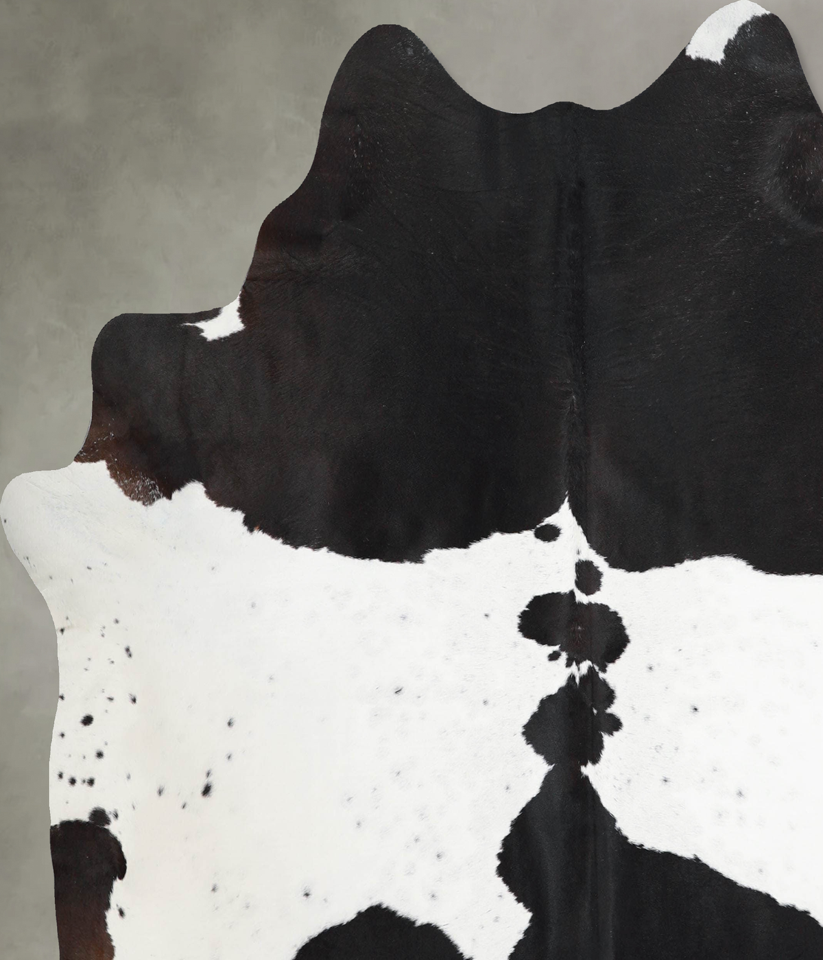 Chocolate and White X-Large Brazilian Cowhide Rug 7'1"H x 6'7"W #A54343 by Hudson Hides