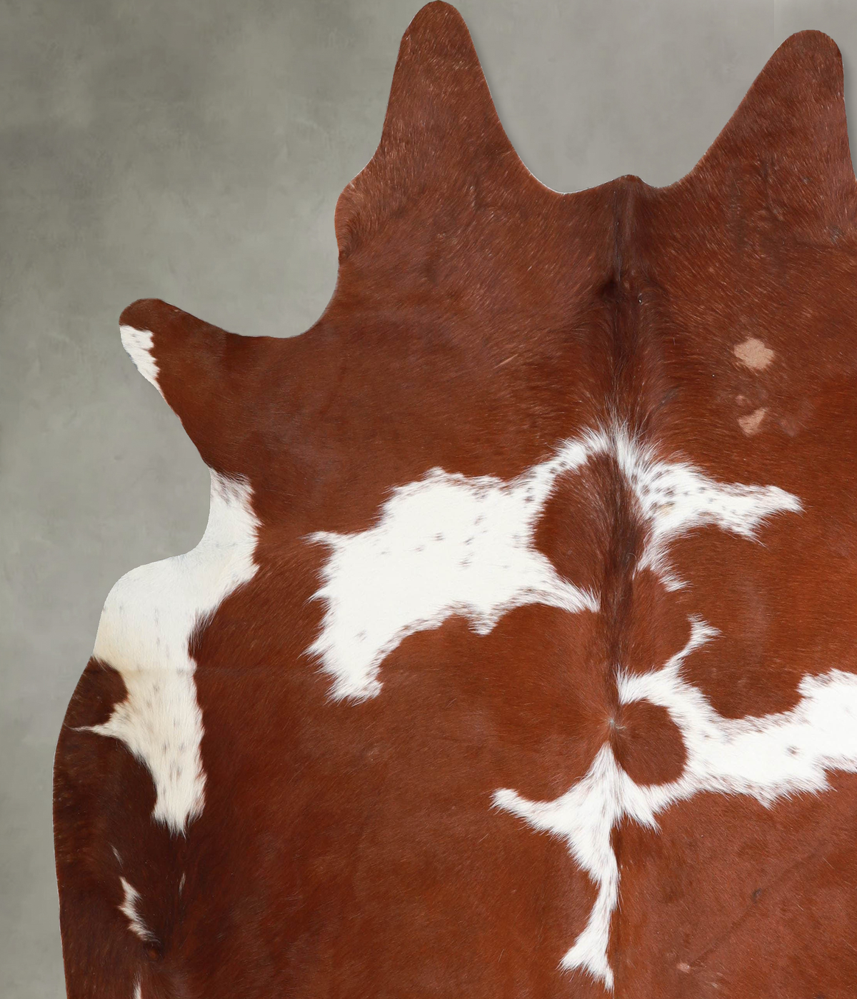 Brown and White X-Large Brazilian Cowhide Rug 7'3"H x 6'10"W #A54351 by Hudson Hides