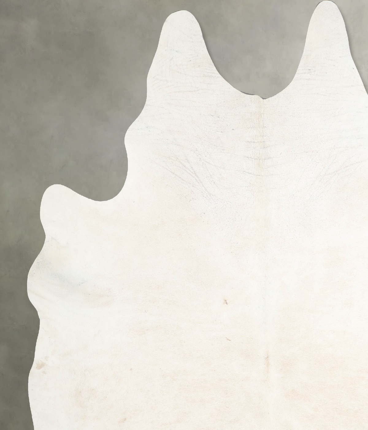 Ivory with Beige XX-Large Brazilian Cowhide Rug 8'5"H x 7'1"W #A54359 by Hudson Hides
