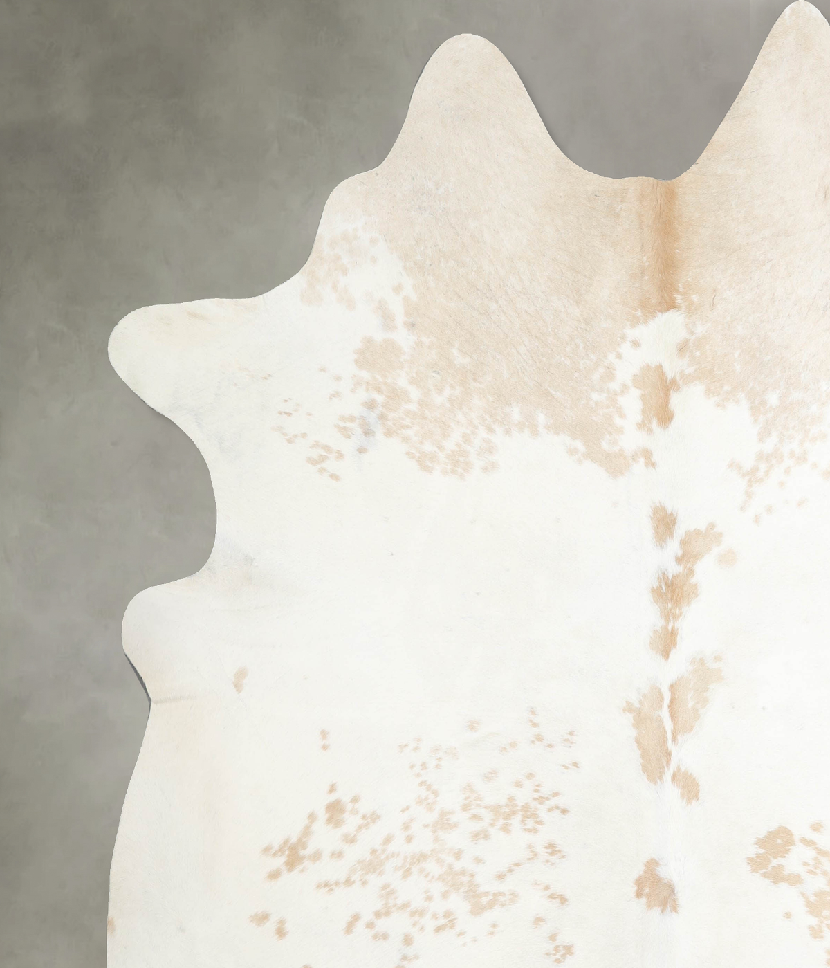 Beige and White XX-Large Brazilian Cowhide Rug 8'3"H x 7'4"W #A54368 by Hudson Hides