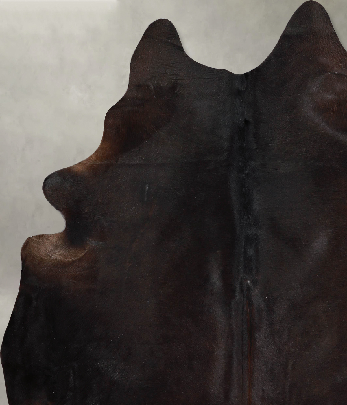 Chocolate XX-Large Brazilian Cowhide Rug 7'8"H x 6'7"W #A54374 by Hudson Hides