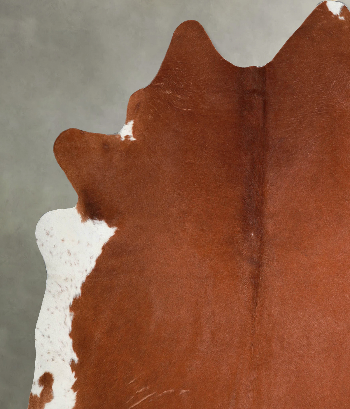 Brown and White Regular XX-Large Brazilian Cowhide Rug 8'7"H x 7'9"W #A54382 by Hudson Hides