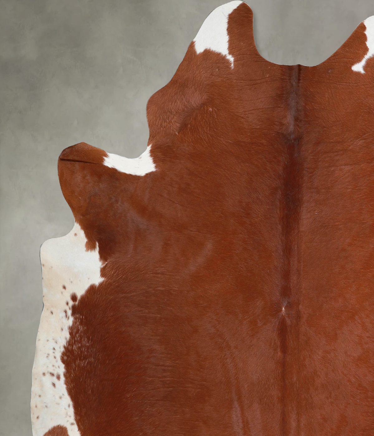Brown and White Regular XX-Large Brazilian Cowhide Rug 8'2"H x 7'1"W #A54385 by Hudson Hides