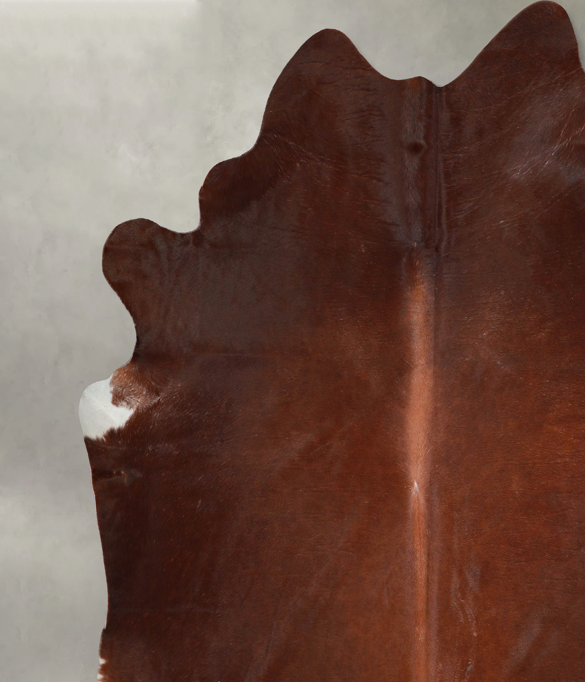 Solid Brown XX-Large Brazilian Cowhide Rug 8'3"H x 8'2"W #A54387 by Hudson Hides