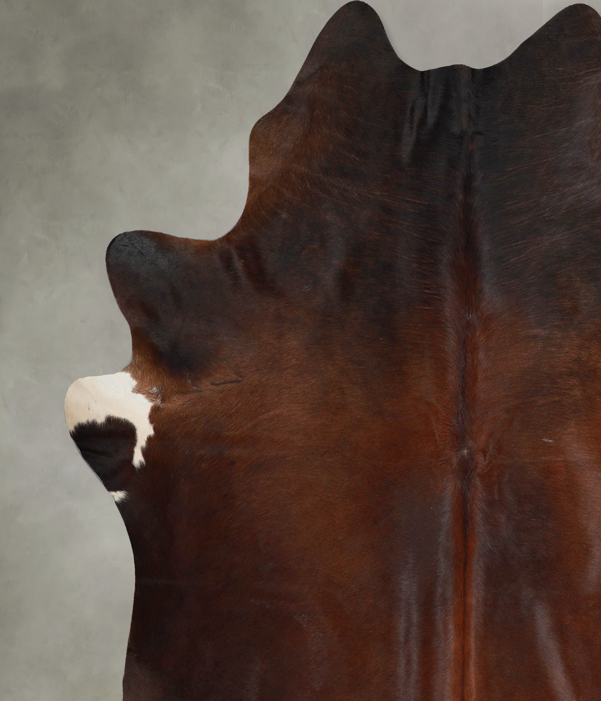 Warm Caramel X-Large Brazilian Cowhide Rug 7'6"H x 6'8"W #A54392 by Hudson Hides