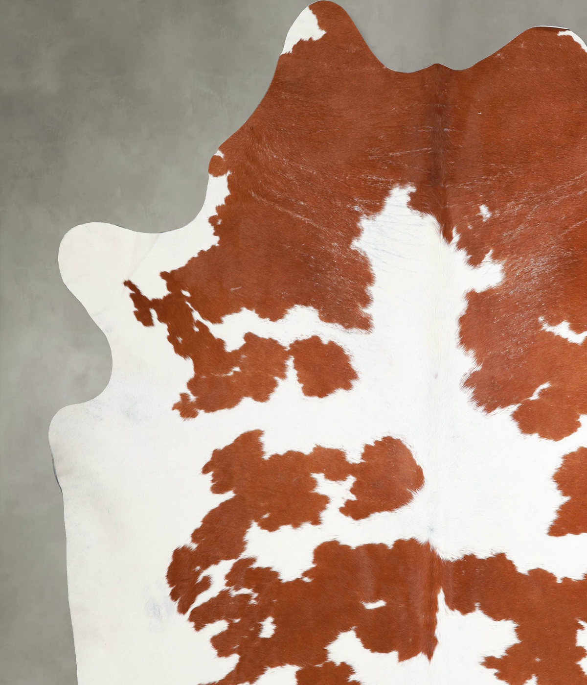 Brown and White XX-Large Brazilian Cowhide Rug 8'4"H x 7'6"W #A54398 by Hudson Hides