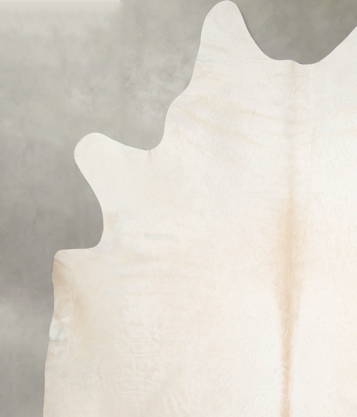Ivory with Beige XX-Large Brazilian Cowhide Rug 7'11"H x 7'2"W #A54401 by Hudson Hides