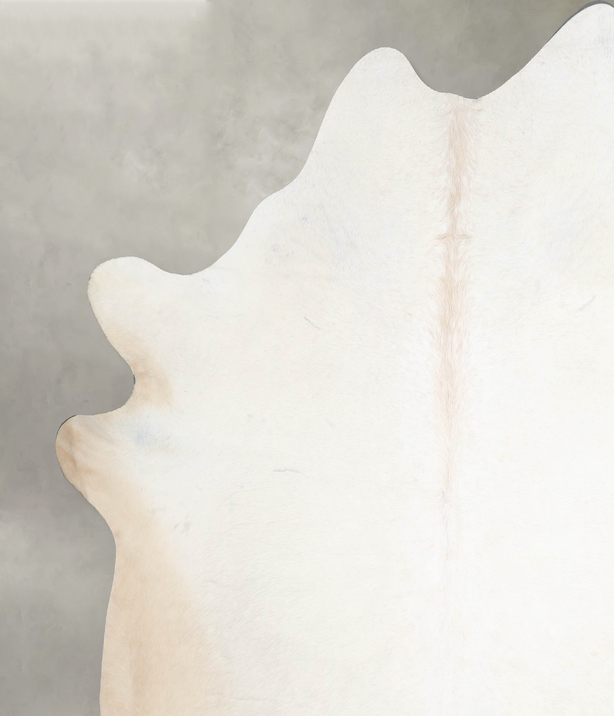 Ivory with Beige XX-Large Brazilian Cowhide Rug 8'0"H x 7'6"W #A54405 by Hudson Hides