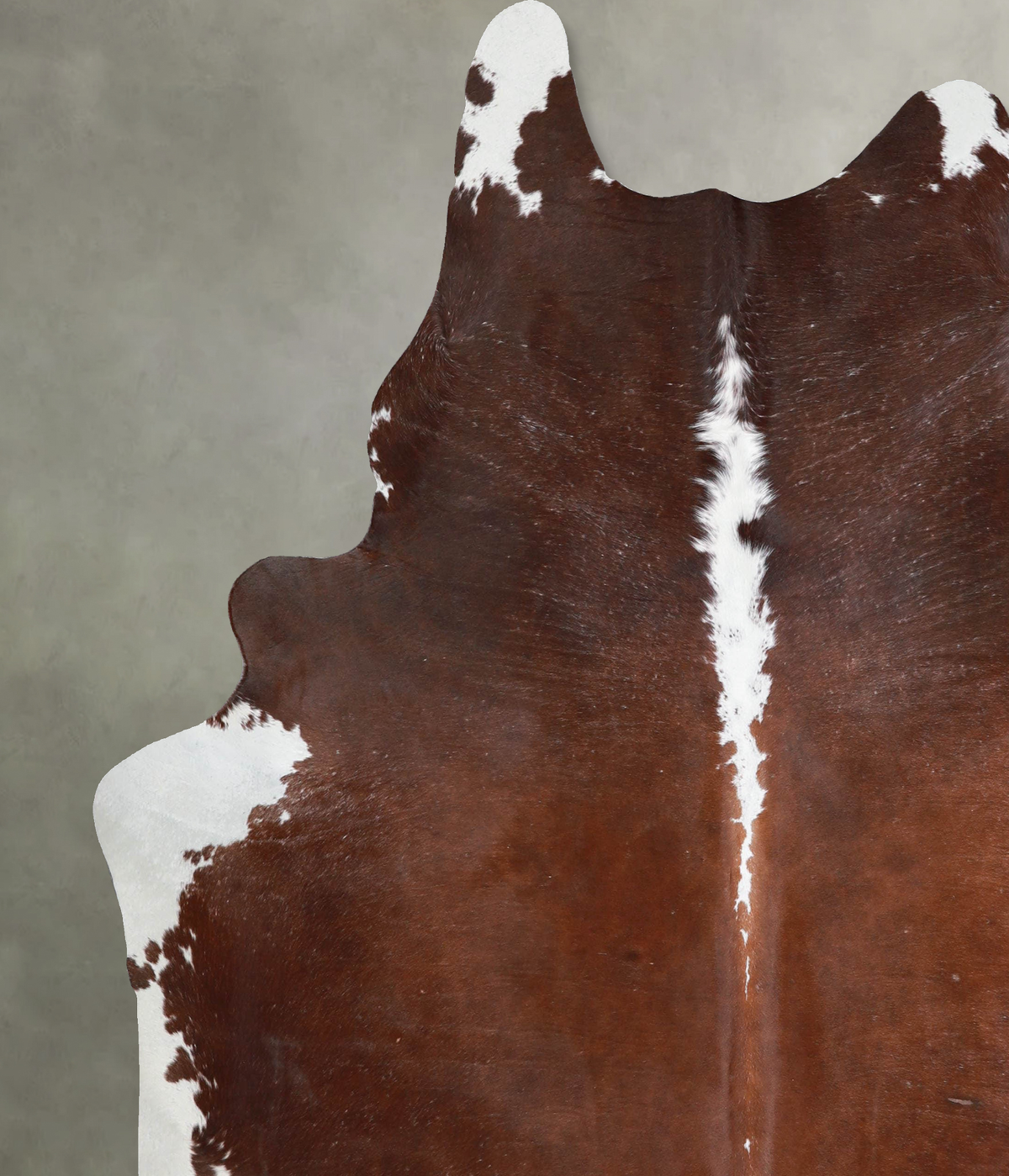 Brown and White Regular XX-Large Brazilian Cowhide Rug 7'10"H x 6'9"W #A54408 by Hudson Hides