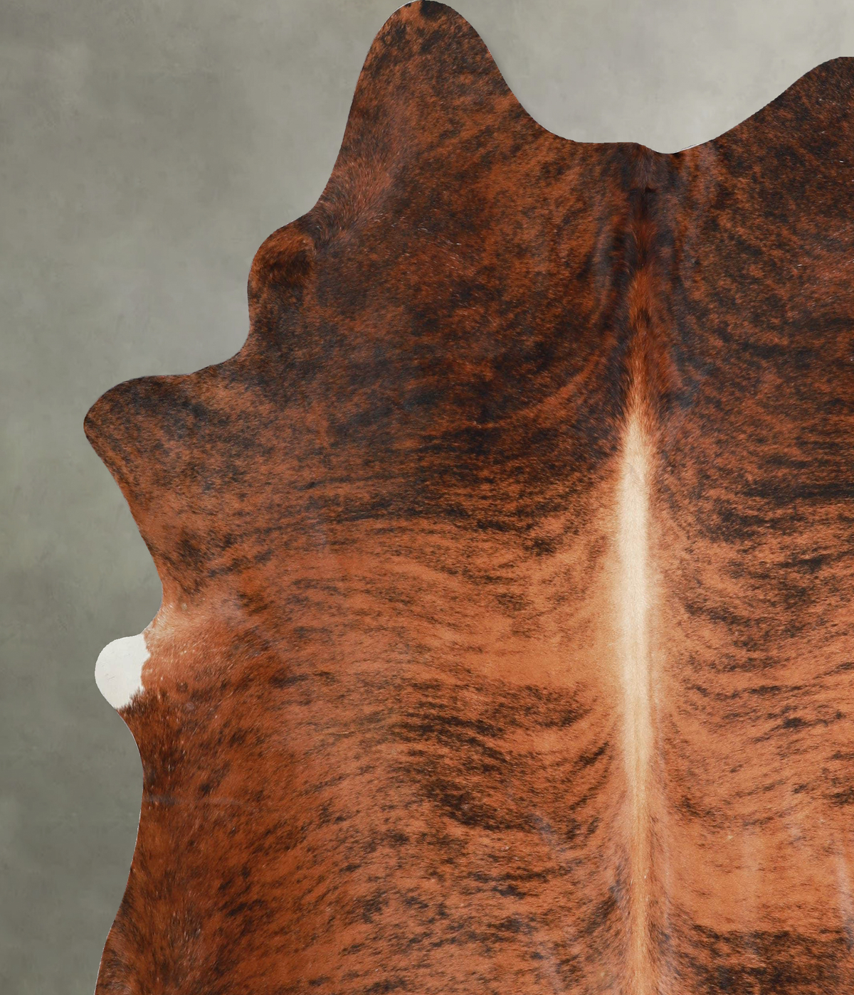 Medium Brindle X-Large Brazilian Cowhide Rug 7'3"H x 6'8"W #A54415 by Hudson Hides