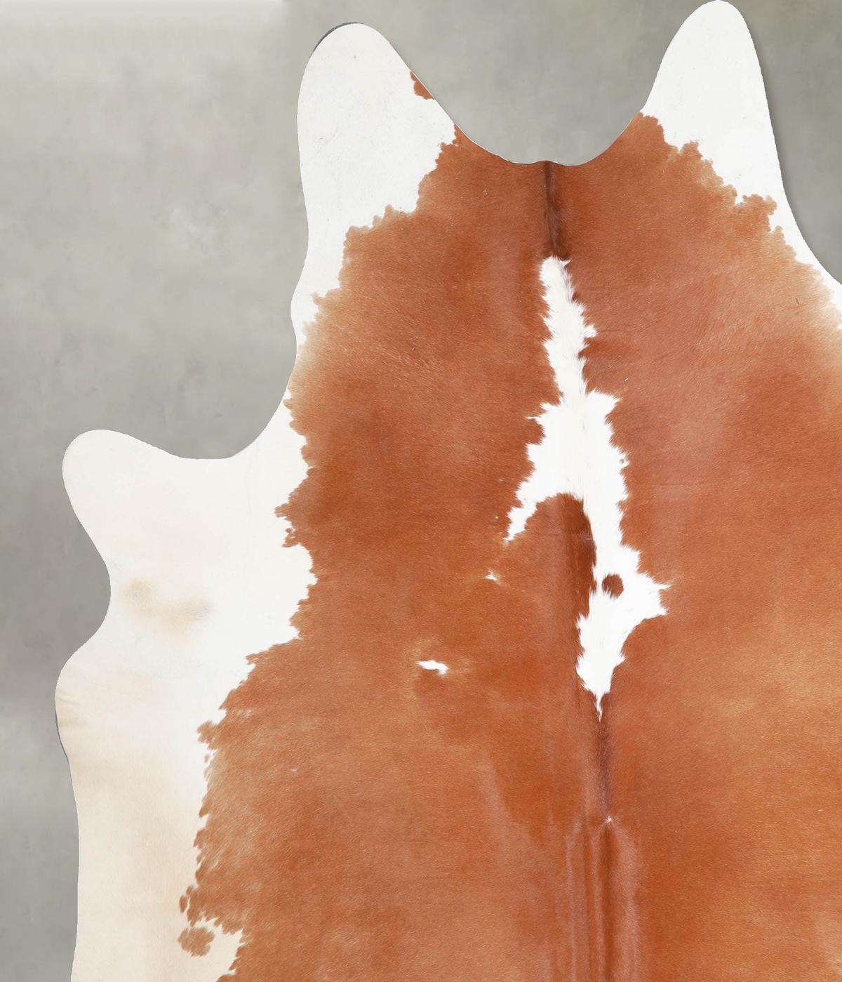 Brown and White Regular XX-Large Brazilian Cowhide Rug 7'7"H x 6'9"W #A54428 by Hudson Hides