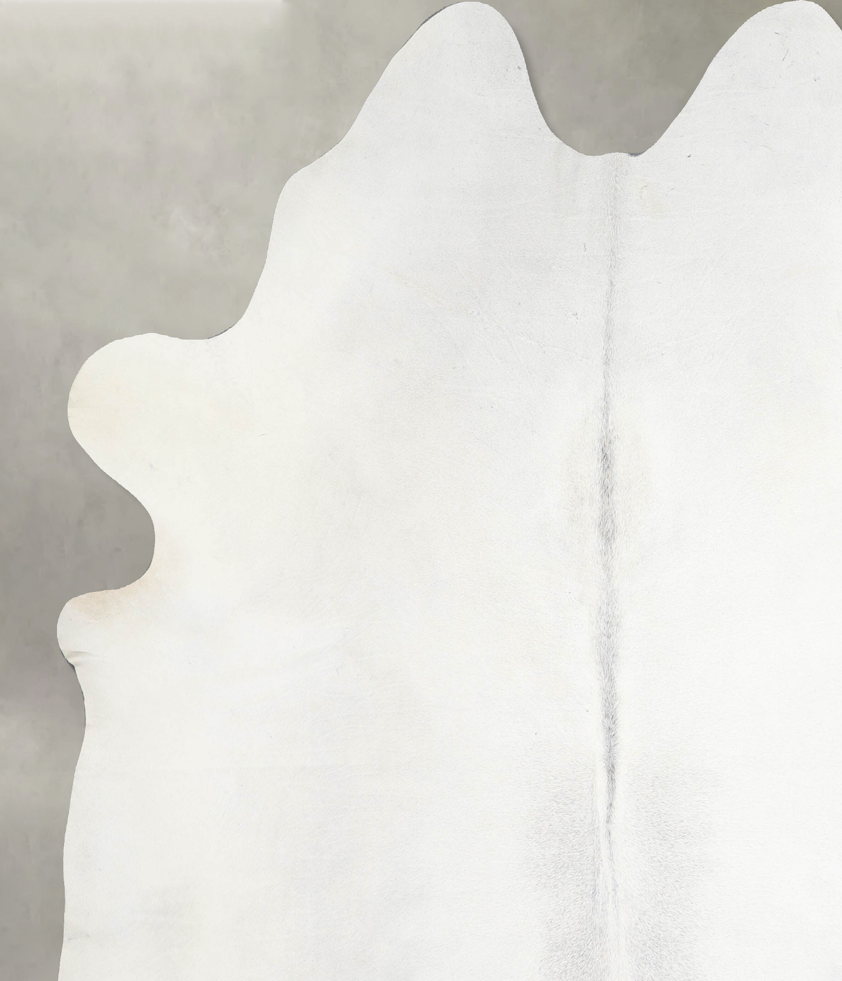 Light Grey XX-Large Brazilian Cowhide Rug 7'11"H x 7'4"W #A54437 by Hudson Hides