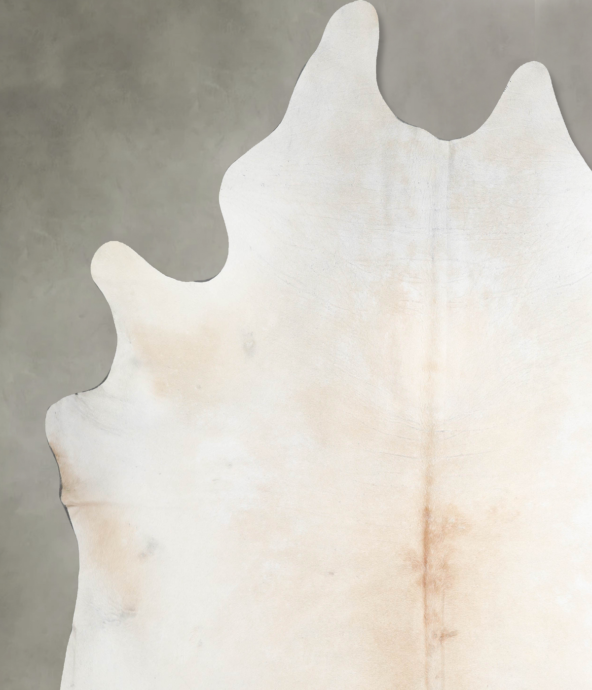 Ivory with Beige XX-Large Brazilian Cowhide Rug 8'10"H x 7'9"W #A54445 by Hudson Hides