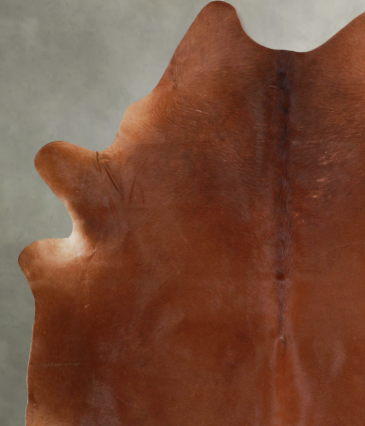 Solid Brown X-Large Brazilian Cowhide Rug 7'5"H x 5'11"W #A54462 by Hudson Hides