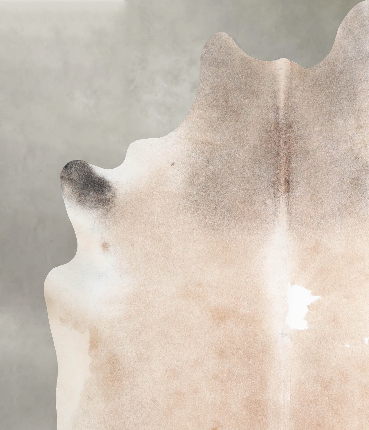 Taupe X-Large Brazilian Cowhide Rug 7'5"H x 6'8"W #A54465 by Hudson Hides