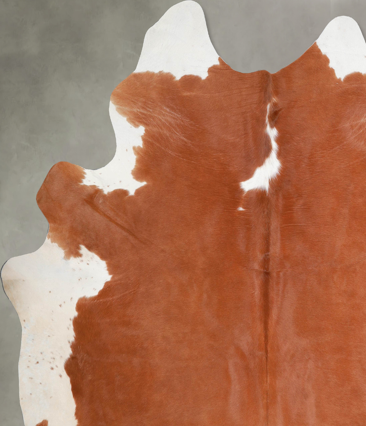 Brown and White Regular XX-Large Brazilian Cowhide Rug 7'11"H x 6'10"W #A54469 by Hudson Hides