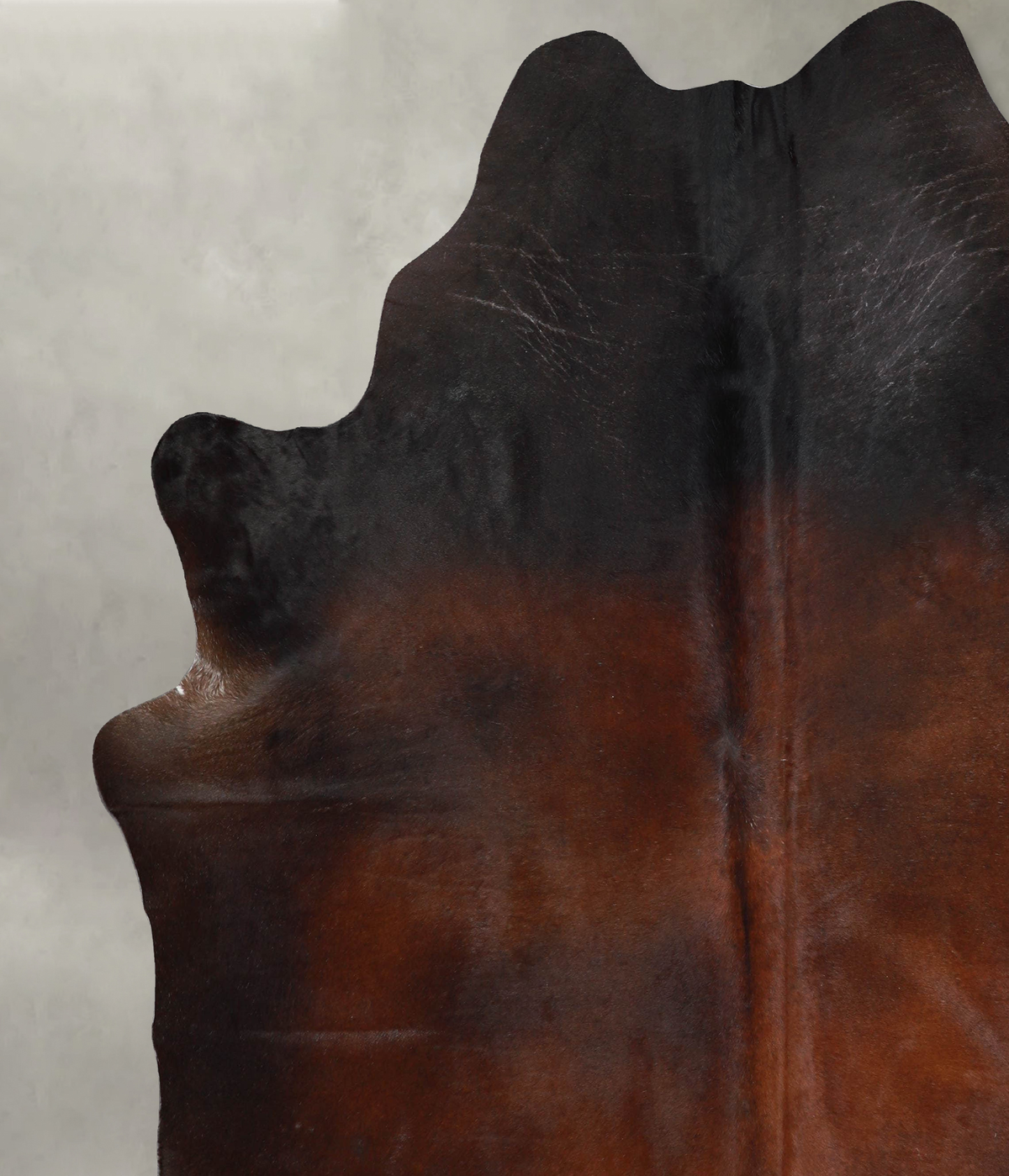Warm Caramel XX-Large Brazilian Cowhide Rug 8'0"H x 7'1"W #A54471 by Hudson Hides