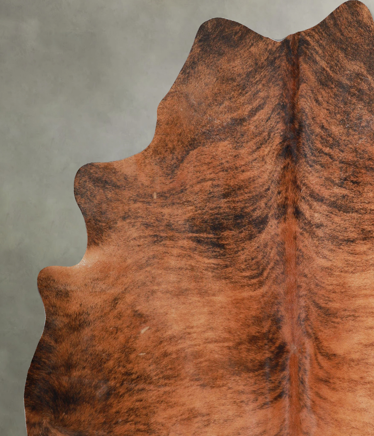 Medium Brindle X-Large Brazilian Cowhide Rug 7'8"H x 6'6"W #A54473 by Hudson Hides