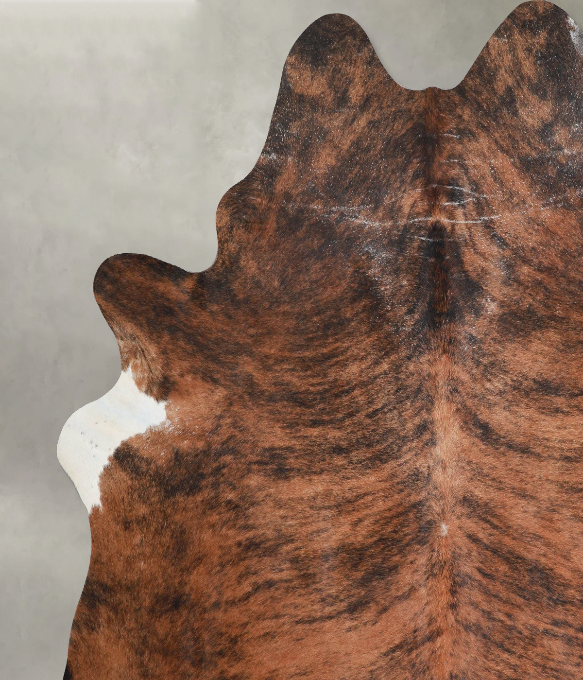 Dark Brindle XX-Large Brazilian Cowhide Rug 7'8"H x 6'9"W #A54477 by Hudson Hides