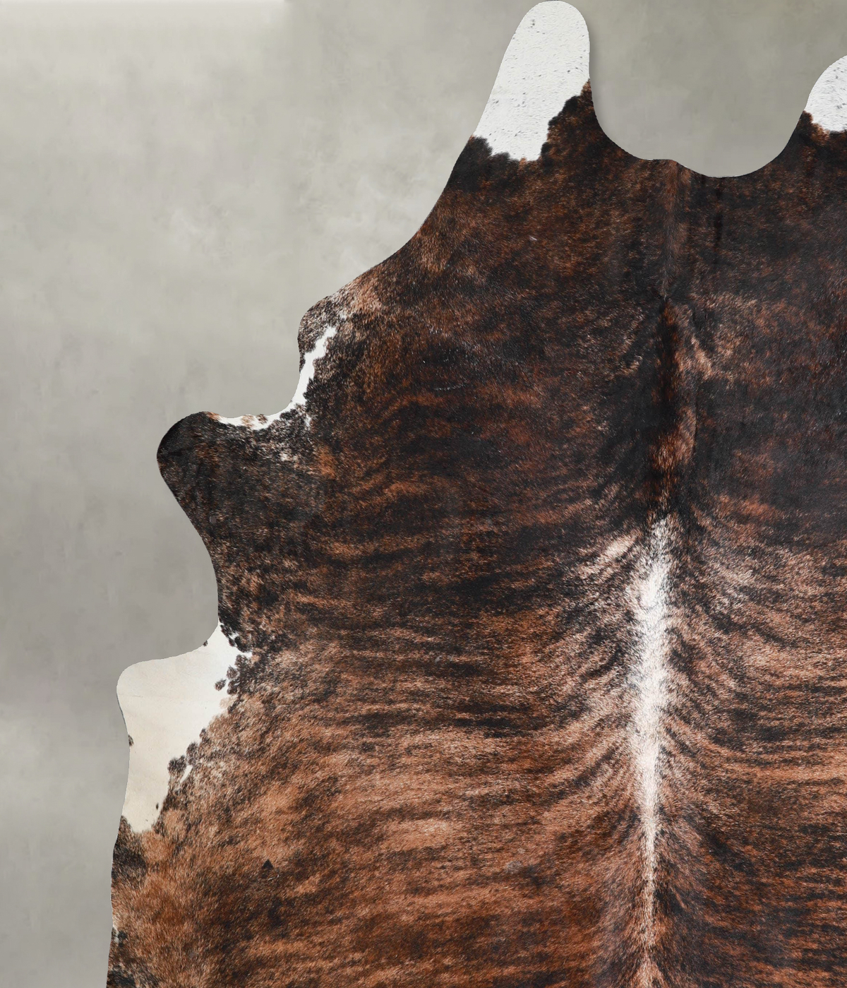 Dark Brindle XX-Large Brazilian Cowhide Rug 8'4"H x 7'3"W #A54484 by Hudson Hides