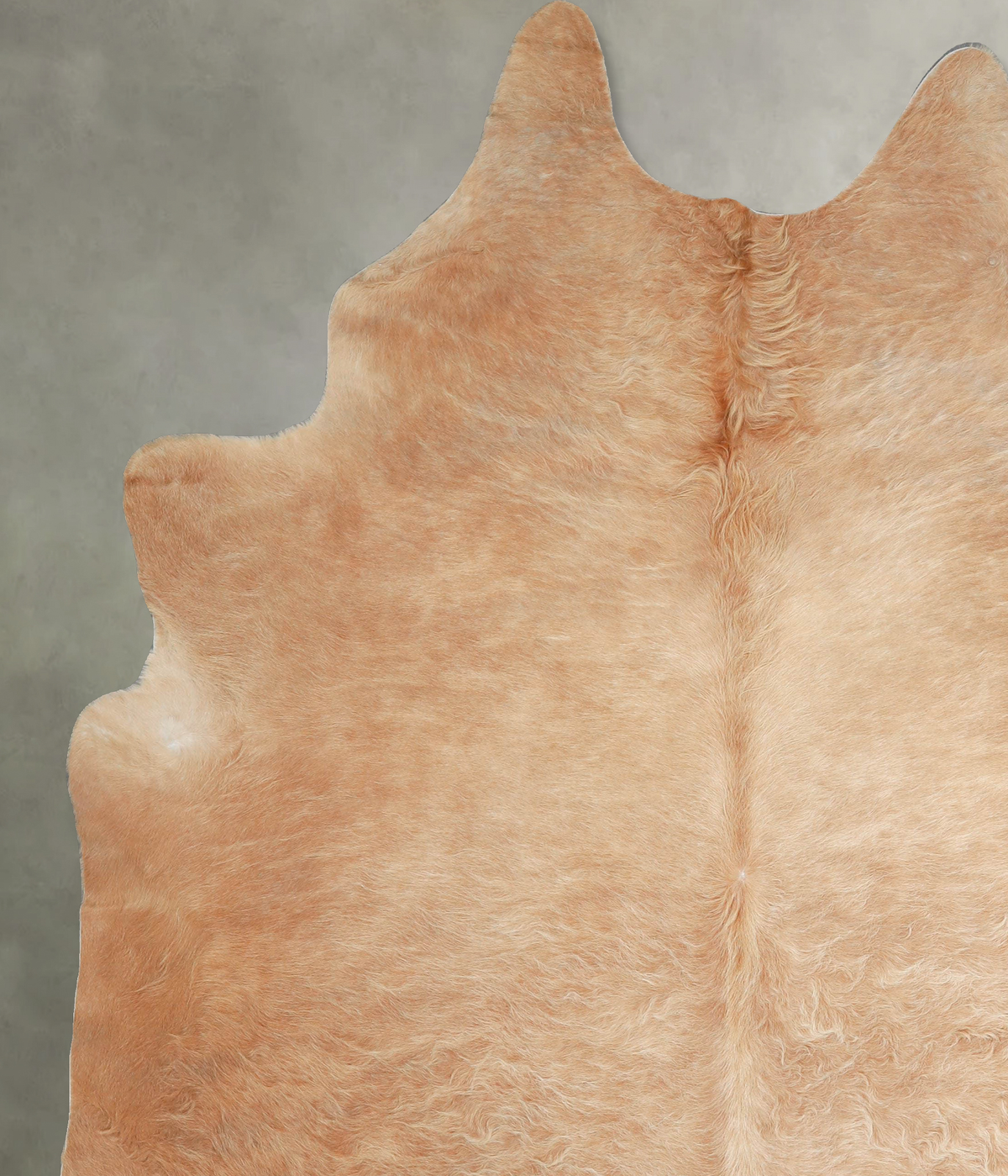 Solid Brown XX-Large Brazilian Cowhide Rug 8'6"H x 6'10"W #A54488 by Hudson Hides