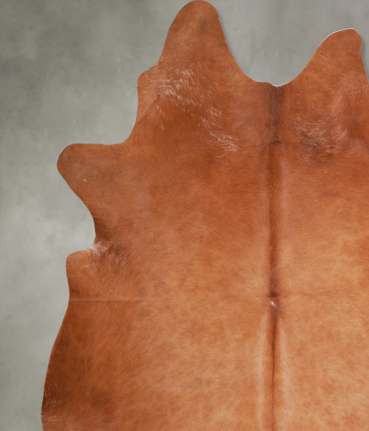Solid Brown XX-Large Brazilian Cowhide Rug 7'10"H x 7'1"W #A54489 by Hudson Hides