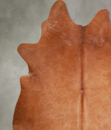 Solid Brown XX-Large Brazilian Cowhide Rug 7'10"H x 7'1"W #A54489 by Hudson Hides