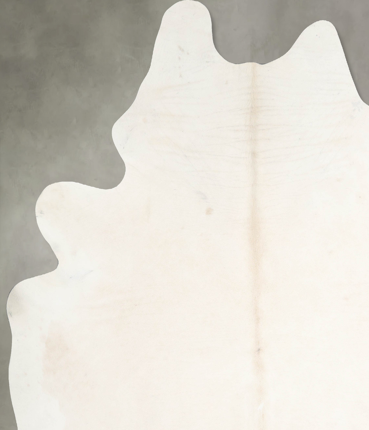 Ivory with Beige XX-Large Brazilian Cowhide Rug 8'3"H x 7'0"W #A54492 by Hudson Hides