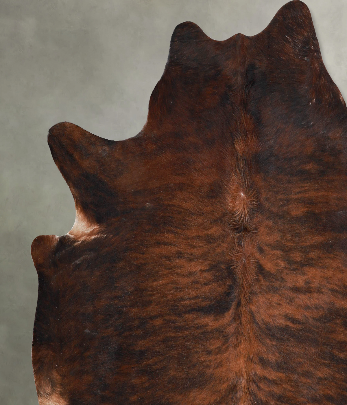 Dark Brindle XX-Large Brazilian Cowhide Rug 7'4"H x 7'2"W #A54516 by Hudson Hides
