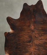 Dark Brindle XX-Large Brazilian Cowhide Rug 7'4"H x 7'2"W #A54516 by Hudson Hides