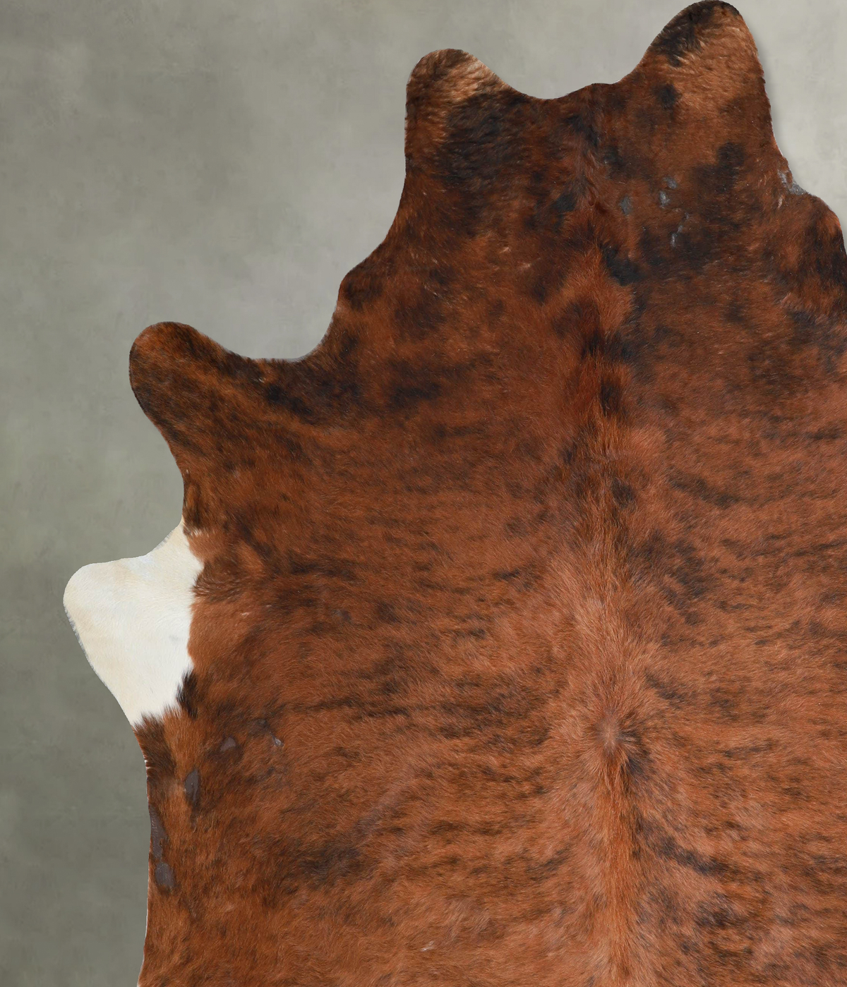 Medium Brindle XX-Large Brazilian Cowhide Rug 7'9"H x 6'11"W #A54517 by Hudson Hides