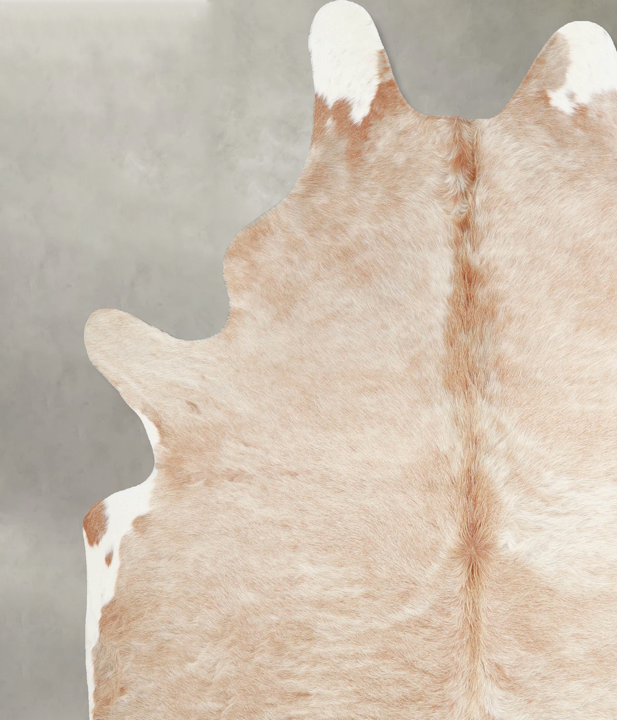Beige X-Large Brazilian Cowhide Rug 7'8"H x 6'4"W #A54518 by Hudson Hides