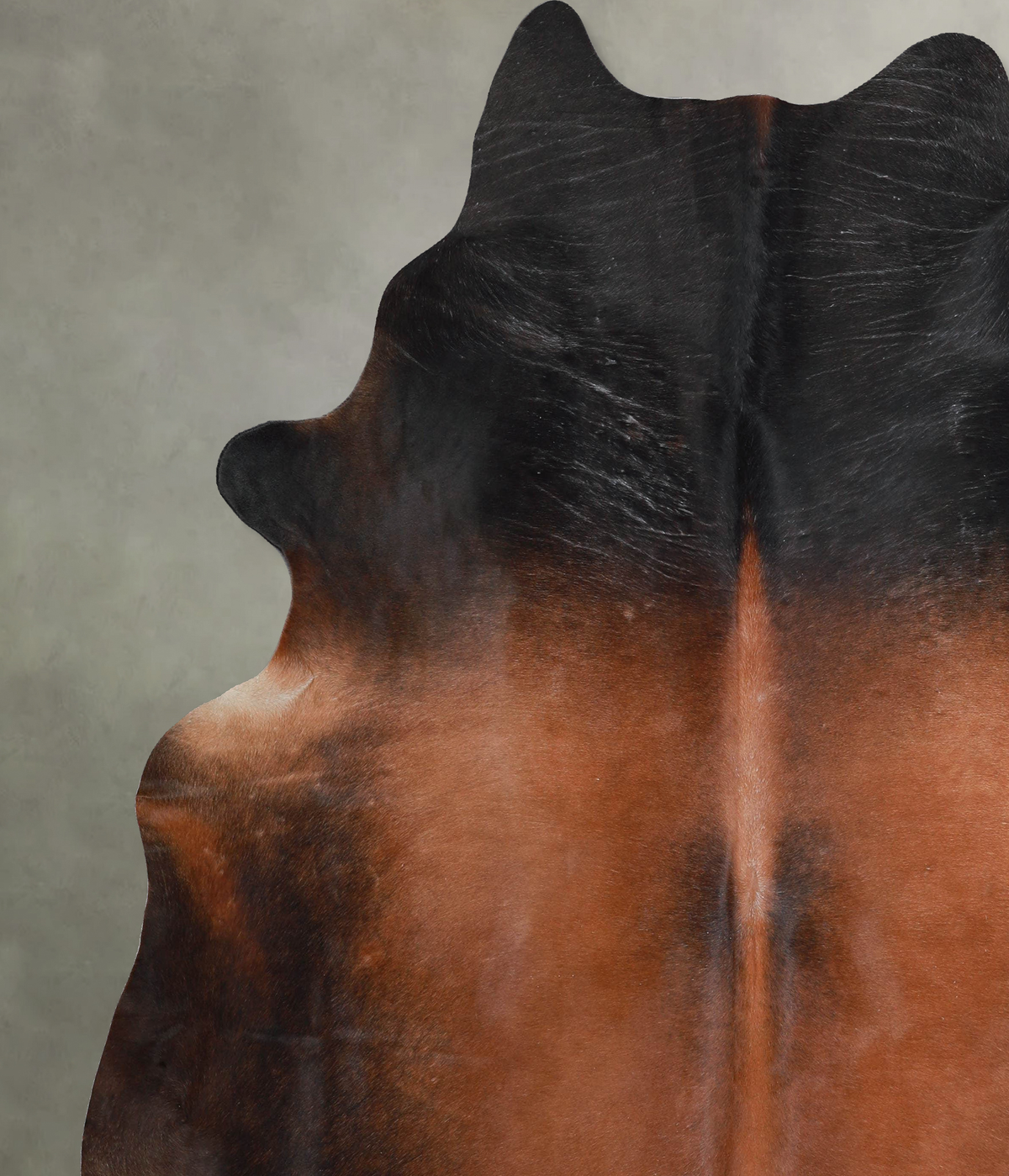 Warm Caramel XX-Large Brazilian Cowhide Rug 8'2"H x 7'4"W #A54523 by Hudson Hides