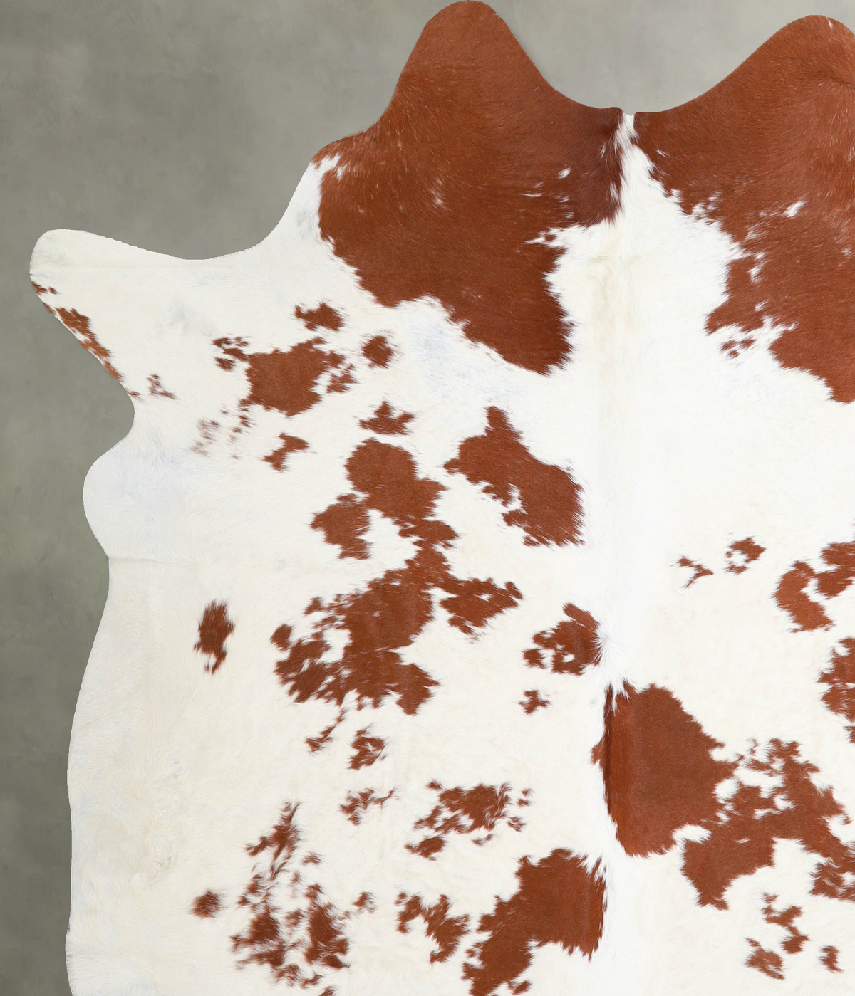 Brown and White XX-Large Brazilian Cowhide Rug 7'6"H x 6'11"W #A54525 by Hudson Hides