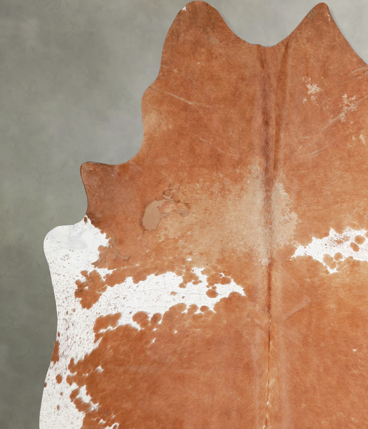 Brown and White XX-Large Brazilian Cowhide Rug 8'3"H x 7'6"W #A54526 by Hudson Hides