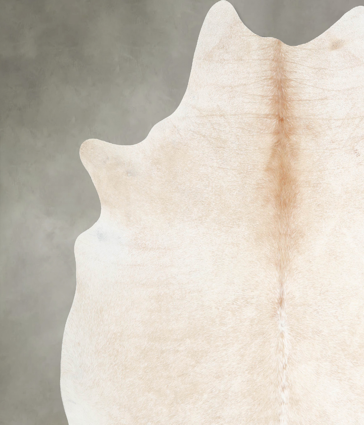 Palomino XX-Large Brazilian Cowhide Rug 7'11"H x 7'4"W #A54540 by Hudson Hides